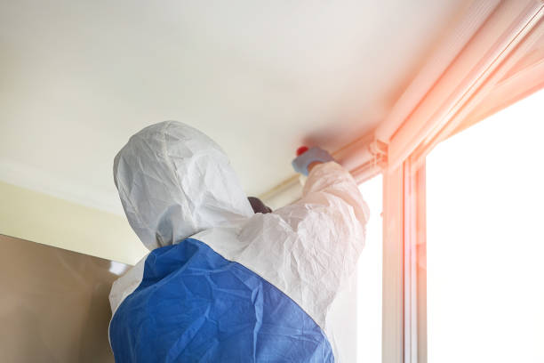 Best Biohazard Mold Removal in Healdton, OK