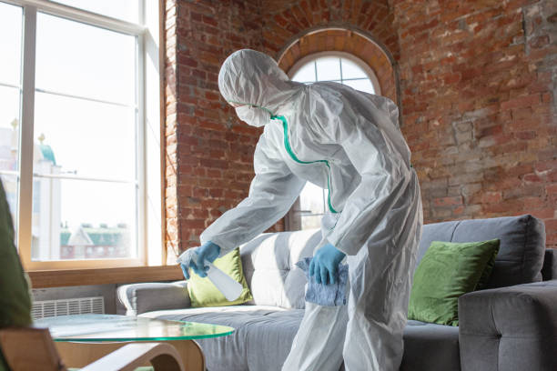 Best Water Damage & Mold Remediation in Healdton, OK