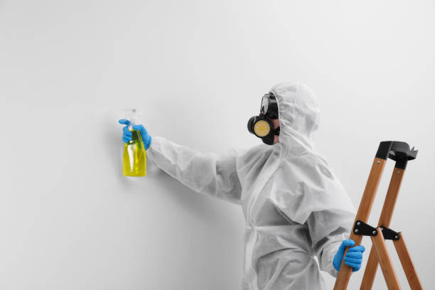 Best Mold Removal for HVAC Installations in Healdton, OK