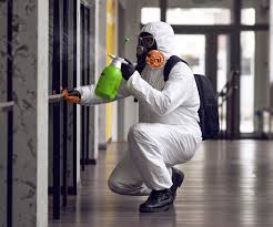 Why You Should Choose Our Mold Remediation Services in Healdton, OK